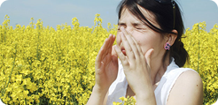 Картинки по запросу pollen